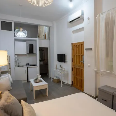 Santa Clara Urban Ii Apartment